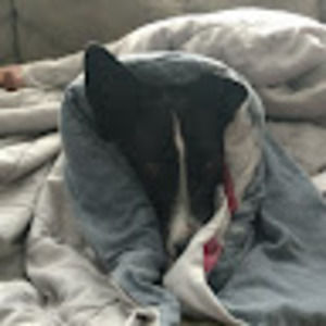 Meet your Posher, Casey